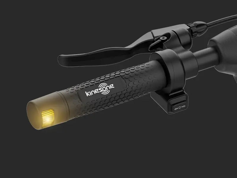 Integrated Turn Signals